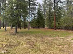 300 Palmer Ln, Chewelah, WA 99109 - Image #2