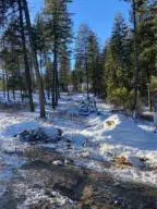 43XX Grote Rd, Clayton, WA 99110 - Image #1