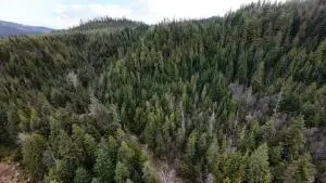 7301 Wa-31, IONE, WA 99139