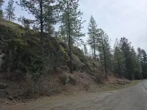 3XX Gold Creek Rd, Colville, WA 99114 - #2