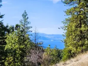 4021 Bissell Rd, HUNTERS, WA 99137