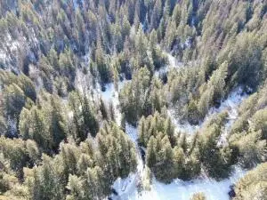 XXX Deadman Creek Rd, Kettle Falls, WA 99141 - Image #1