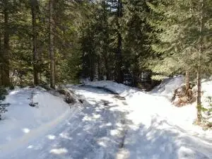 XXX Deadman Creek Rd, Kettle Falls, WA 99141 - Image #2