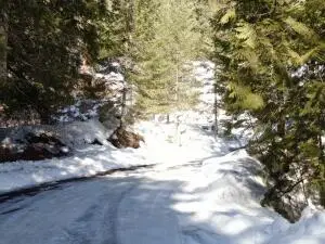 XXX Deadman Creek Rd, Kettle Falls, WA 99141 - Image #3