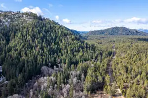 41XX Grouse Creek Rd, Loon Lake, WA 99148 - #1