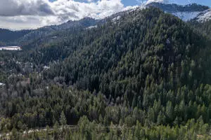 41XX Grouse Creek Rd, Loon Lake, WA 99148 - #2