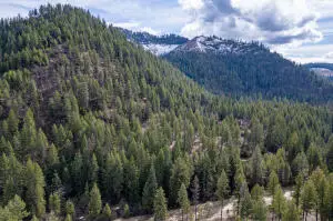 41XX Grouse Creek Rd, Loon Lake, WA 99148 - #3
