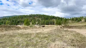 520 Knapp Rd, Colville, WA 99114 - Image #3