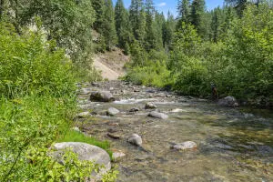 4440 Northport-waneta Rd, Northport, WA 99157 - Image #1