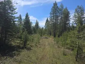 XXX W Oregon Rd, Deer Park, WA 99006 - #2