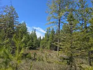 XXX W Oregon Rd, Deer Park, WA 99006 - #3