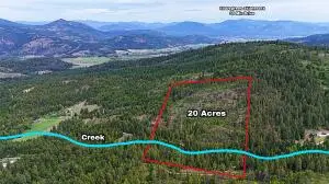 1895 Tbd Blue Creek Road Rd, ADDY, WA 99101