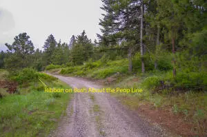 2420 Cedonia Addy Rd, Addy, WA 99101 - #1