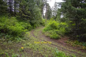 2420 Cedonia Addy Rd, Addy, WA 99101 - #3
