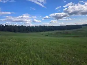 5266 Wagner Rd, SPRINGDALE, WA 99173