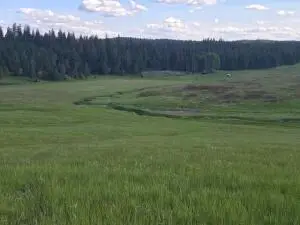 5266 Wagner Rd, Springdale, WA 99173 - Image #2