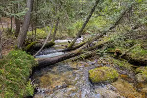 2017 Clugston-onion Crk Rd, Colville, WA 99114 - #3