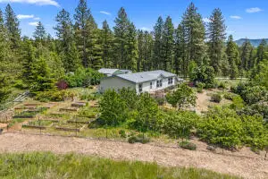 2558 Grimm Rd, Addy, WA 99101 - #3