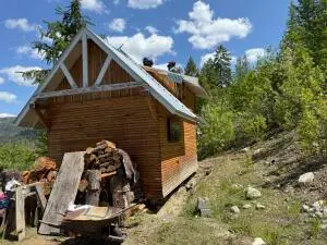 3774-C Daisy Mine Rd, Rice, WA 99167 - Image #3