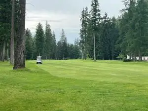 LOT 12 Hogans Way, Chewelah, WA 99109 - Image #3