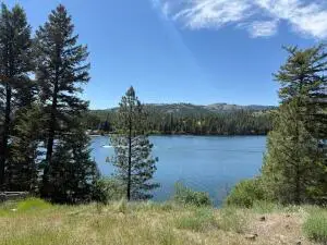 TBD Dollar Bar Beach Rd, REPUBLIC, WA 99166