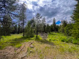 20XX Clemons Rd, Rice, WA 99167 - Image #3