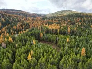 TBD Schlegel Ranch Lot 11 Rd, IONE, WA 99139