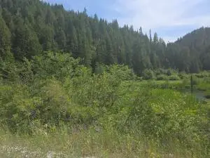 37XX Red Marble Rd, Valley, WA 99181 - #1
