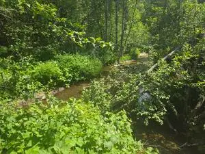 37XX Red Marble Rd, Valley, WA 99181 - #2