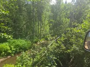 37XX Red Marble Rd, Valley, WA 99181 - #3