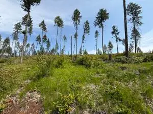 TBD Rockabye Ln, Curlew, WA 99118 - Image #3