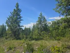 3715 Hill Loop Rd, Kettle Falls, WA 99141 - #1