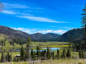 TBD Bonaparte Lake Rd, WAUCONDA, WA 98859