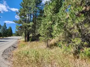 NKA Klondike Rd, REPUBLIC, WA 99166