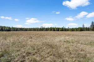 40XXX N Madison Rd, Elk, WA 99009 - Image #3