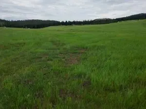 37 Old Ranch House Road (lot 1 ), Republic, WA 99166 - #1