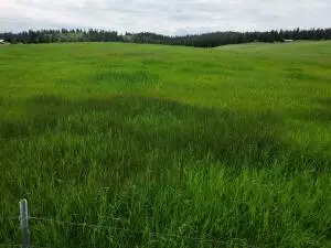 37 Old Ranch House Road (lot 1 ), Republic, WA 99166 - #2