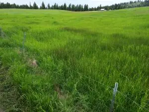 37 Old Ranch House Road (lot 1 ), Republic, WA 99166 - #3