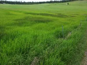 47 Old Ranch House Road (lot 2), Republic, WA 99166 - #1