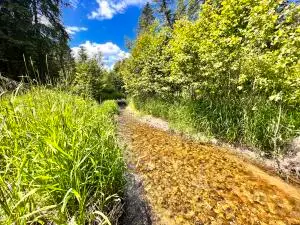 TBD Lambert Creek Rd, Republic, WA 99166 - Image #2