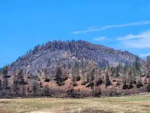 Address Withheld By Seller, Kettle Falls, WA 99141 - Image #3