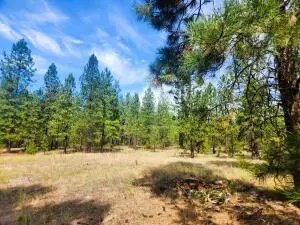 1866 K Northport Flat Creek Rd, KETTLE FALLS, WA 99141