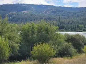 TBD Curlew Dr, Republic, WA 99166 - Image #1