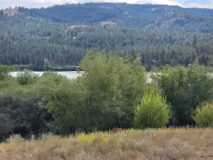 TBD Curlew Dr, Republic, WA 99166 - Image #2