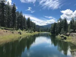 4004 Northport Flat Creek Rd, NORTHPORT, WA 99157