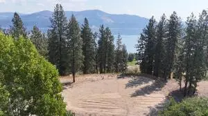 Address Withheld By Seller, Kettle Falls, WA 99141 - #2