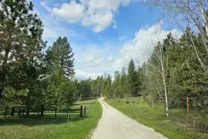 4105 E Springdale-hunters Rd, Springdale, WA 99173 - Image #2