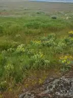 TBD Earl Rd. N., Davenport, WA 99122 - #3