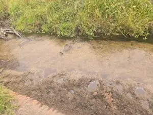 13XX Kitt Narcisse Rd, Colville, WA 99114 - #3