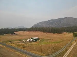 2429 Cottonwood Creek Rd, Chewelah, WA 99109 - Image #1